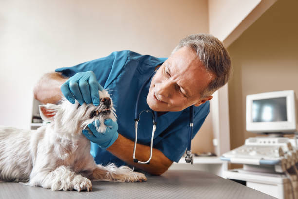 Best Emergency Root Canal Treatment in Clinton, MO